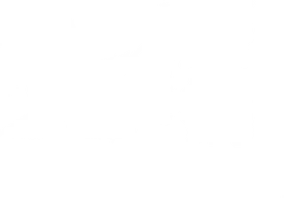 辰扬